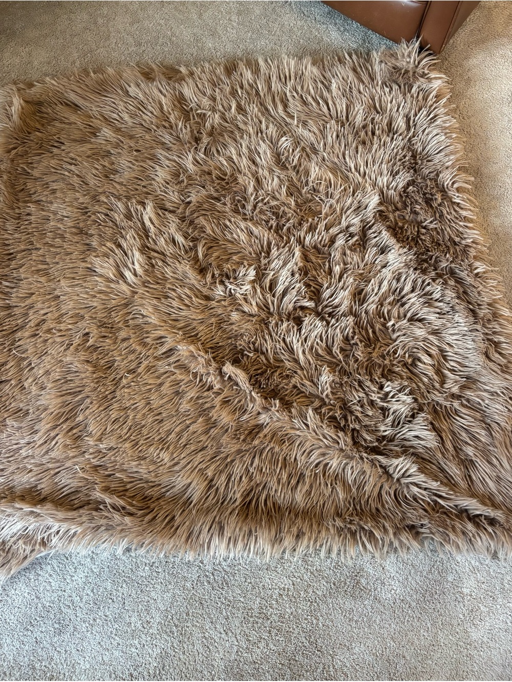 Donna Salyers Fabulous Furs Faux Fur throw blanket